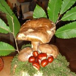 Funghi e castagne